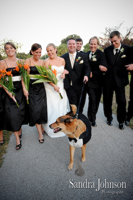 Best Winter Park Civic Center Wedding photographer - Sandra Johnson (SJFoto.com)